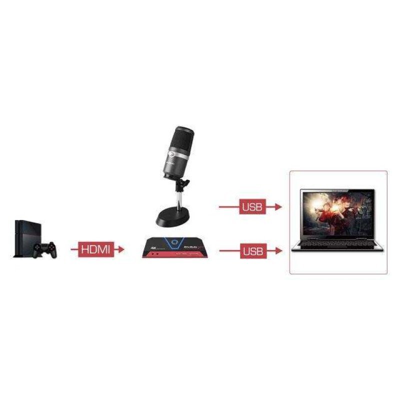 AVerMedia AM310 Microphone