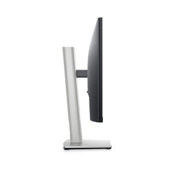 Dell 24 P2422H FHD (1920x1080) 60Hz IPS Flat