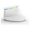 Delux M618C Wireless Mouse (White)