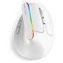 Delux M618C Wireless Mouse (White)