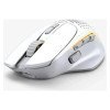 Glorious I2 Gaming Wireless Mouse (White)