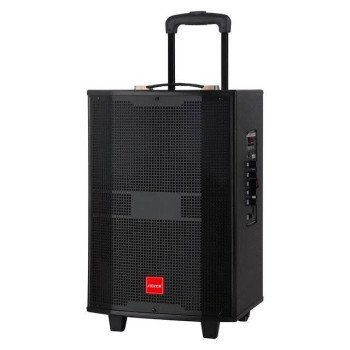 IEVZ YE-A12 12" Speaker