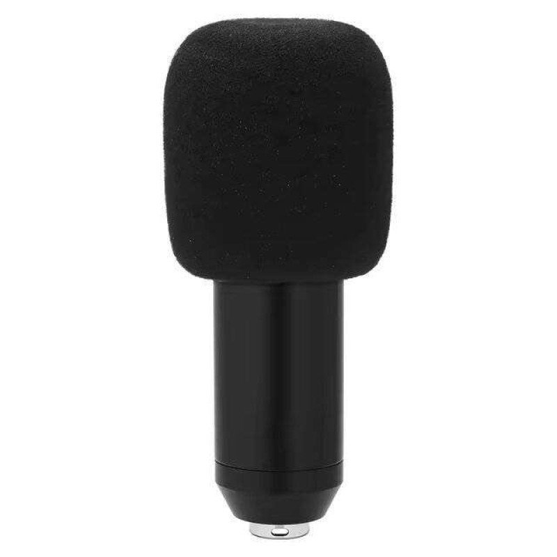 Pro Mic Studio Microphone