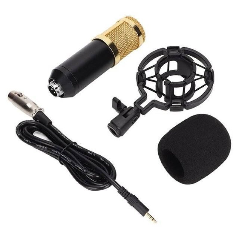 Pro Mic Studio Microphone